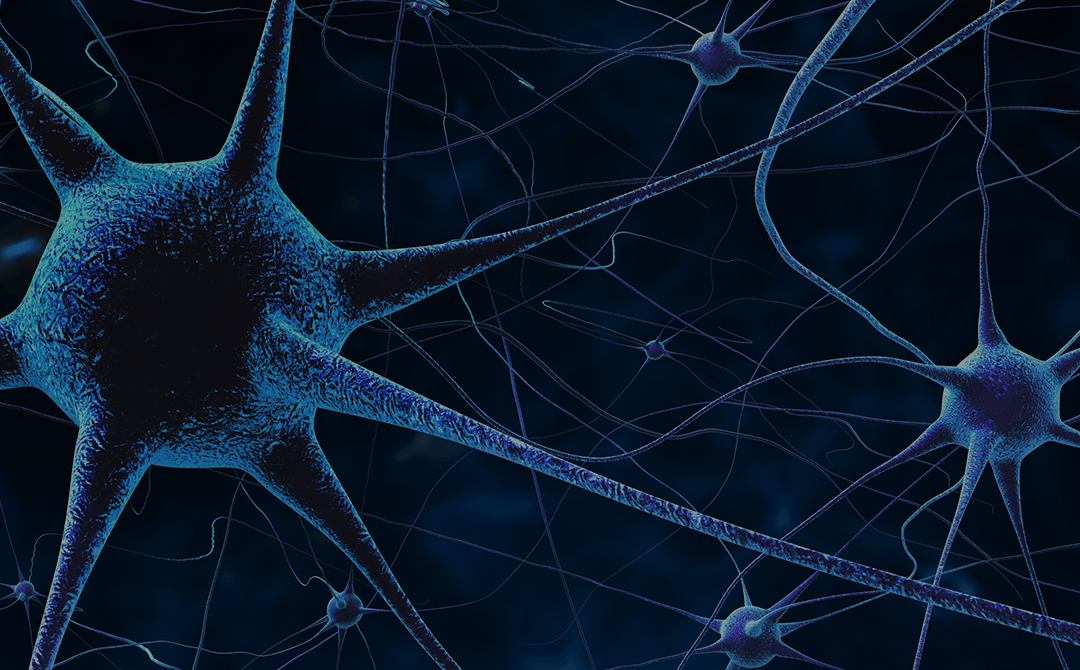 Por qué estudiar el Máster Universitario en Neurociencia: de la Investigación a la Clínica