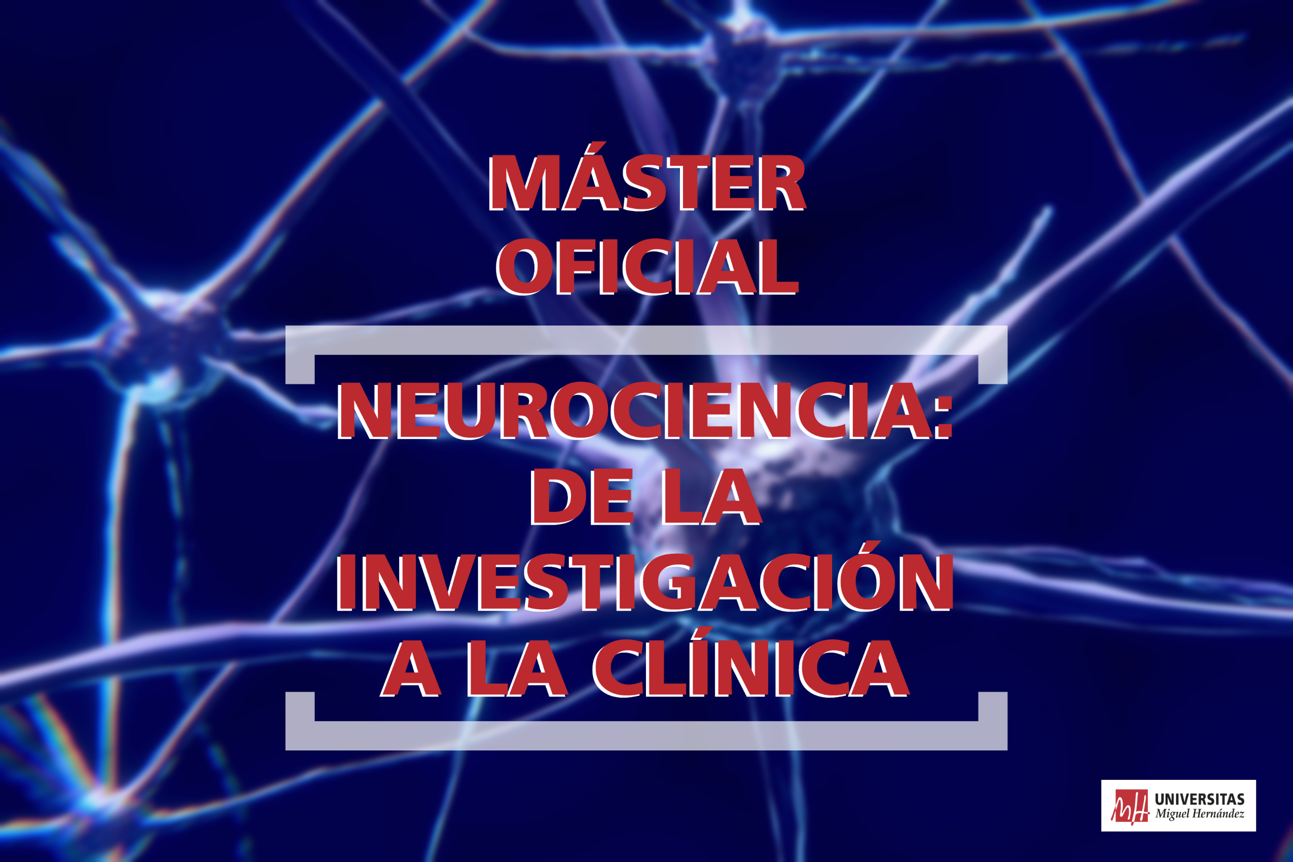 Por qué estudiar el Máster Universitario en Neurociencia: de la Investigación a la Clínica