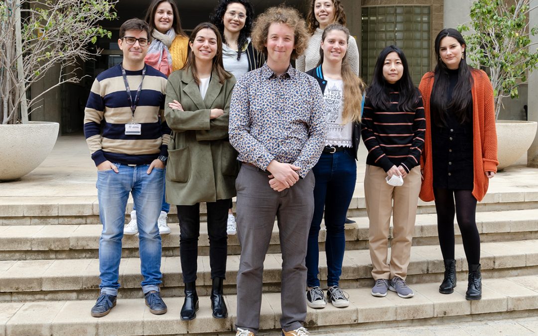 Investigadores del Instituto de Neurociencias descubren cómo una mutación ligada al autismo altera la conducta social en ratones
